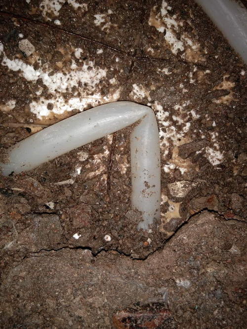 兴县堵点精准查找